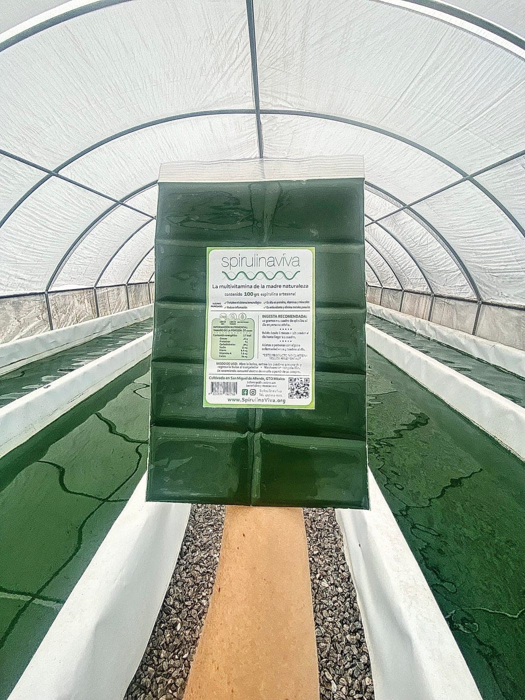 SpirulinaViva · 200 cuadros (2 kg)