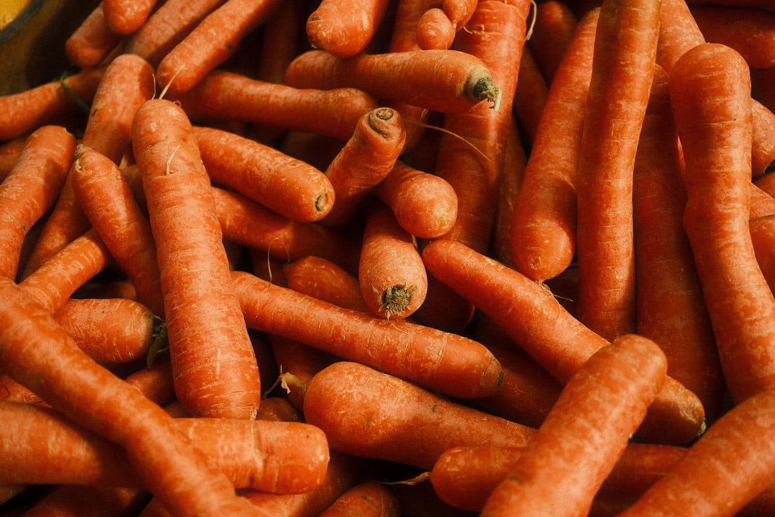Zanahorias para jugo