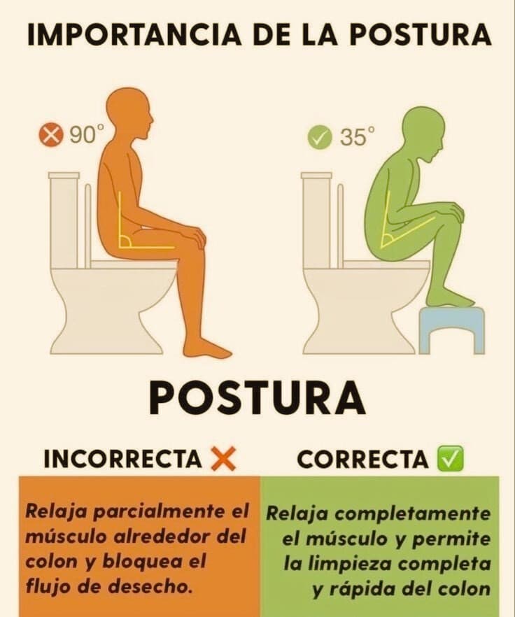 Postura correcta e incorrecta para evacuar
