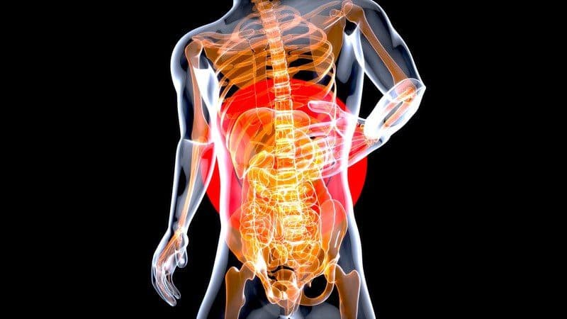 El cuerpo y la digestión