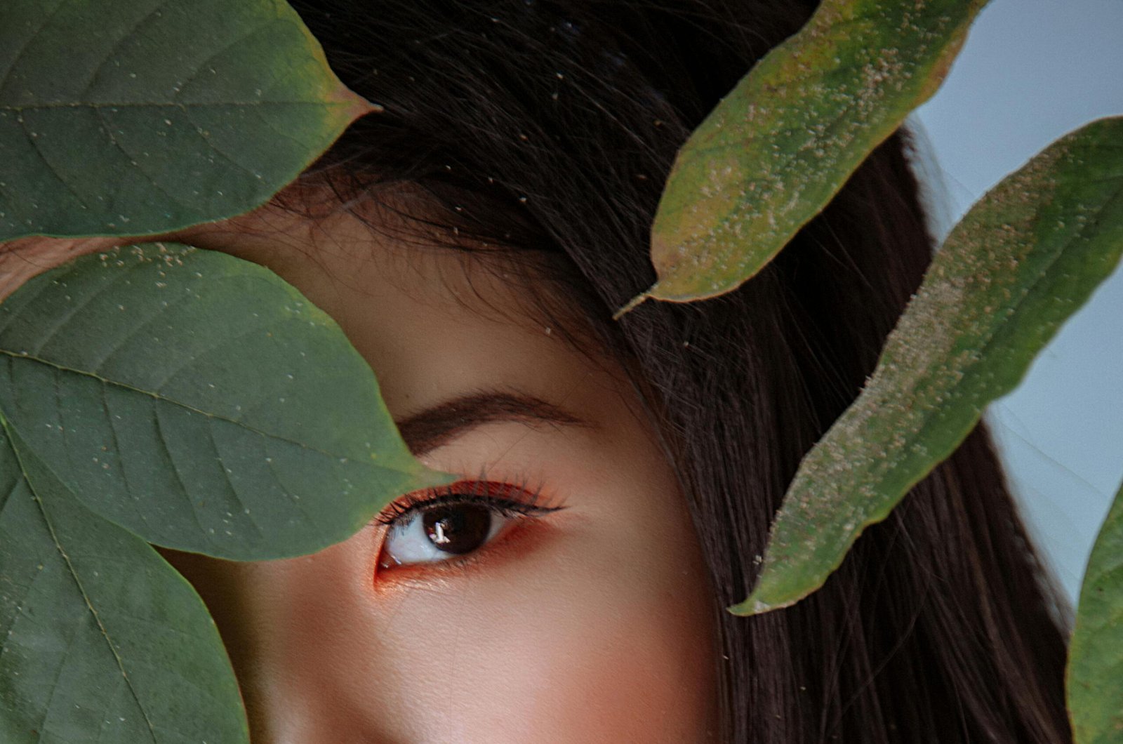 Guía de cuidado capilar natural